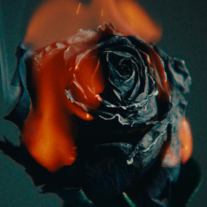 精品人妻无码一区二区三区三
